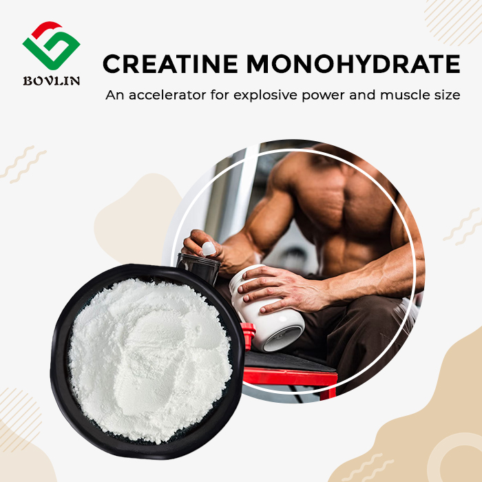 Creatine Monohydrate Powder Bulk